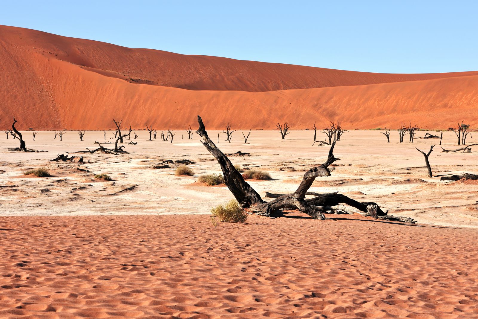 Deadvlei, Sossusvlei, Namibia