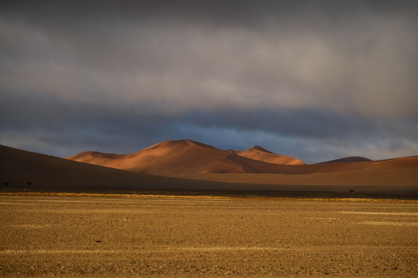 Evening light on the dunes of the Namib desert
