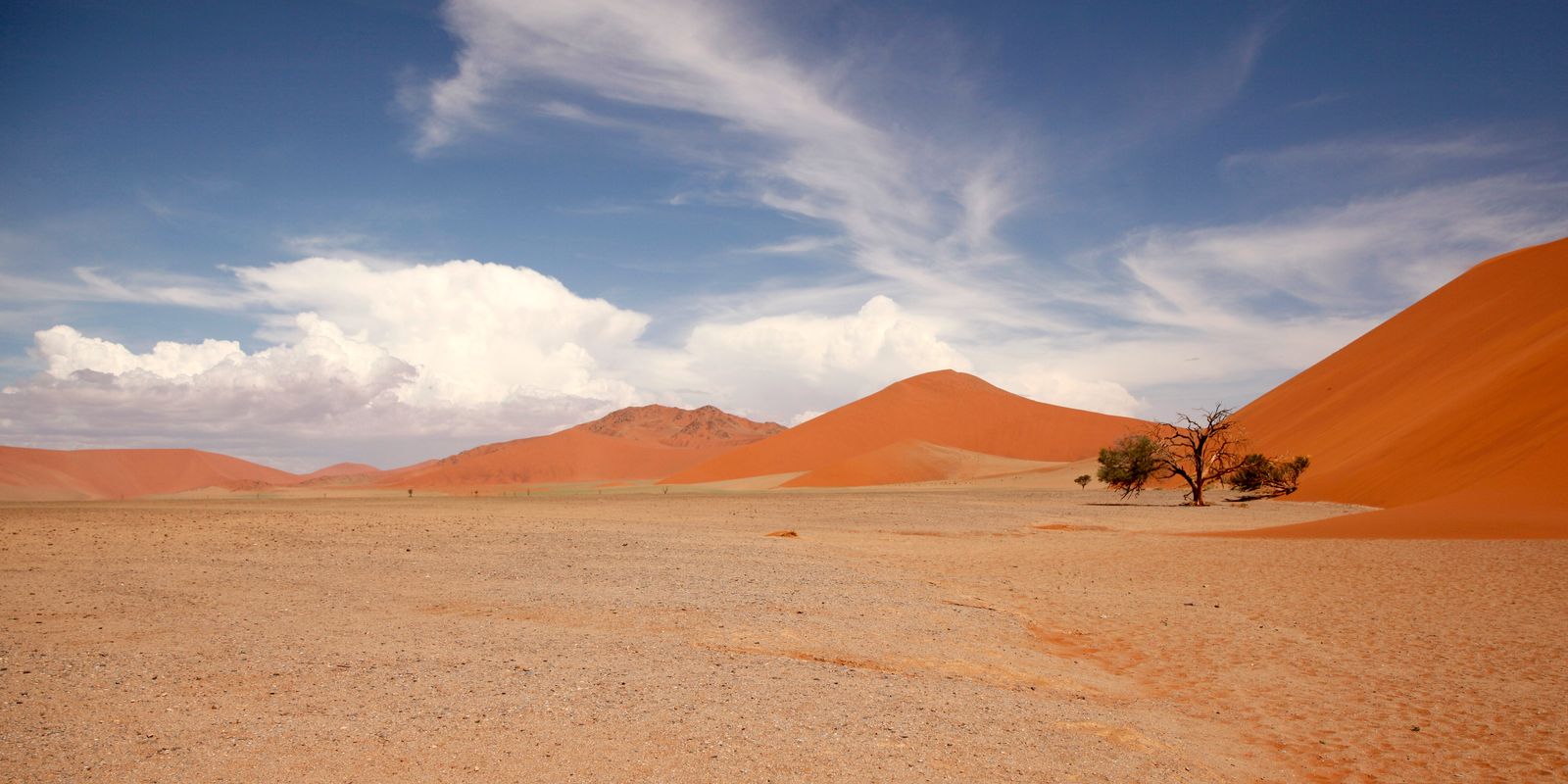 Red dunes of the Namib desert